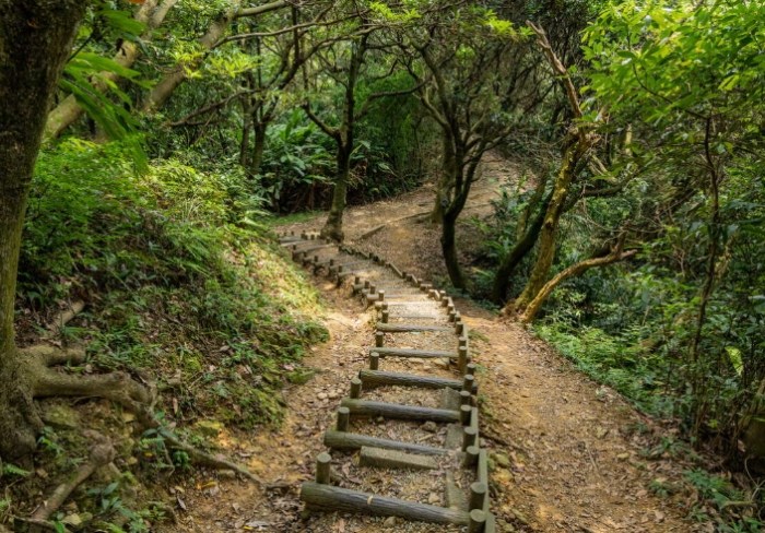 龜山景點：自然步道、文化探索與美食路線全攻略 post thumbnail image