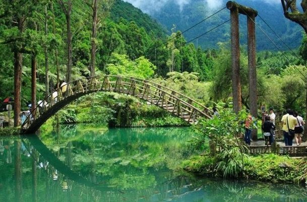 溪頭景點：森林裡的10大必訪珍珠景點全攻略 post thumbnail image