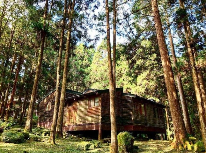 溪頭森林遊樂區內住宿：資深旅人實戰評比推薦住宿排行 post thumbnail image