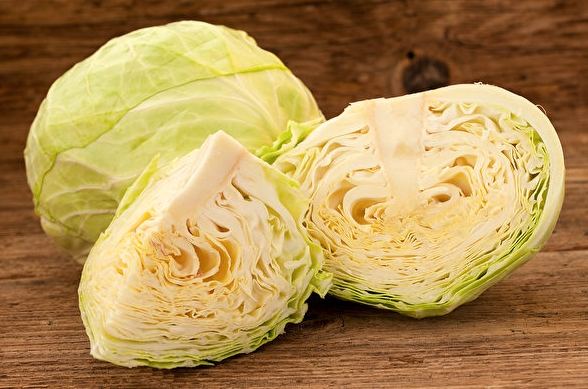 高麗菜食譜